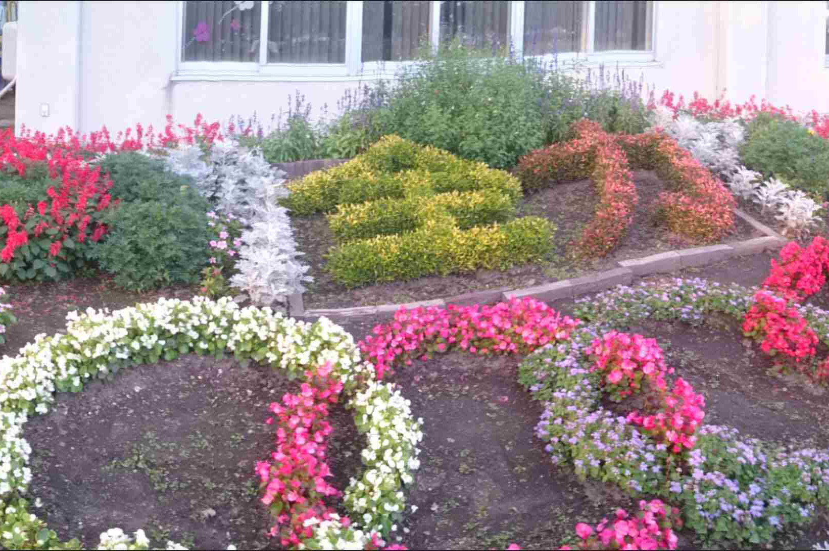 豊かな心の育成 Of 花園小学校